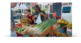 NH Farmers Online Marketing Opportunities