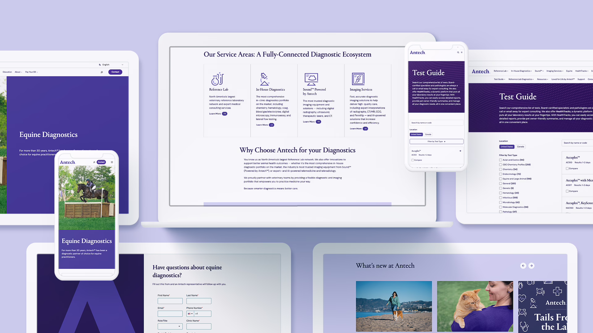 Antech Diagnostics WordPress Website Redesign using Blocks
